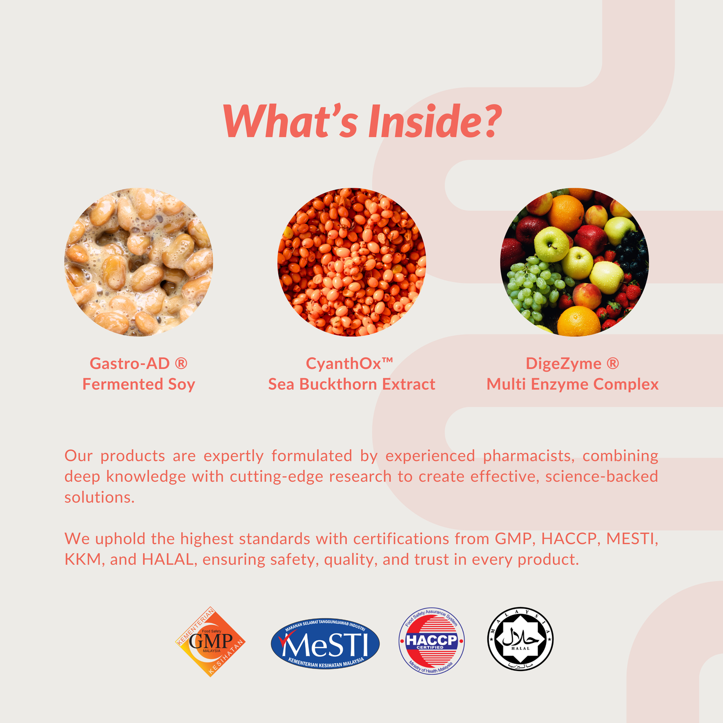 Gudogo Gut Reser Starter Pack